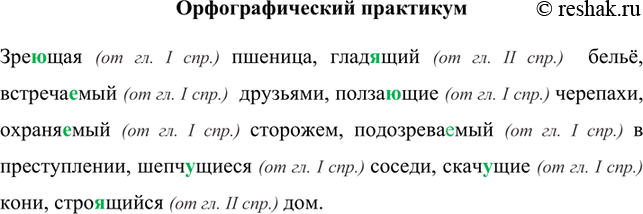 Изображение не видимый (страдательное причастие, наст. вр., от гл. 2 спр.) в темноте, пенящийся (действительное причастие, наст. вр., от гл. 2 спр.) поток, строящийся...