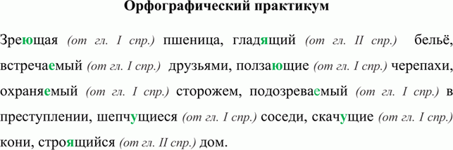 Изображение Зреющая (от гл. I спр.) пшеница, гладящий (от гл. II спр.)  бельё, встречаемый (от гл. I спр.)  друзьями, ползающие (от гл. I спр.) черепахи, охраняемый (от гл. I спр.)...